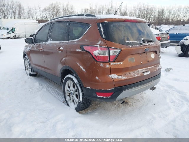 1FMCU0GDXHUB93302 Ford Escape