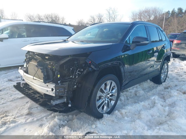 2T3R1RFV8RC420952 Toyota Rav4 Xle/xle Premium