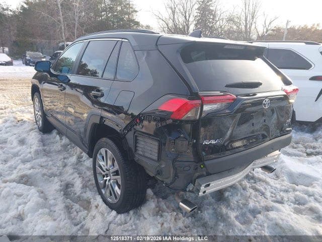 2T3R1RFV8RC420952 Toyota Rav4 Xle/xle Premium