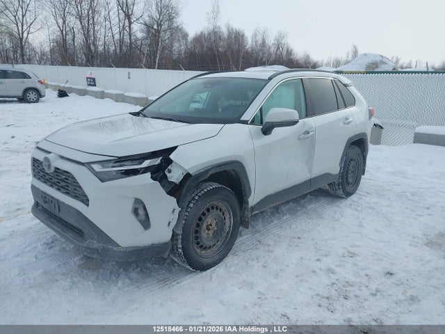 2T3R1RFV8PW404732 Toyota Rav4 Xle/xle Premium