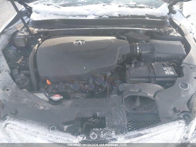 19UUB3F77GA800219 Acura Tlx Advance