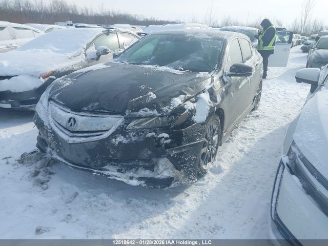 19UUB3F77GA800219 Acura Tlx Advance