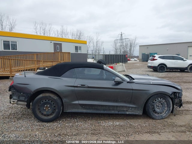 1FATP8EM6H5345217 Ford Mustang
