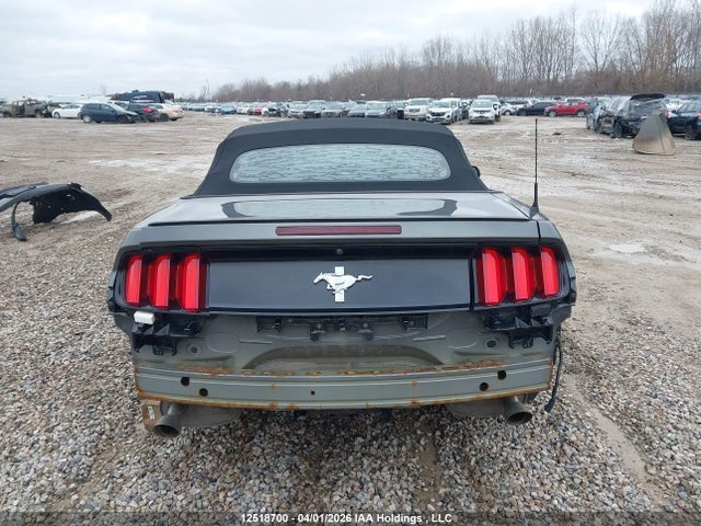 1FATP8EM6H5345217 Ford Mustang