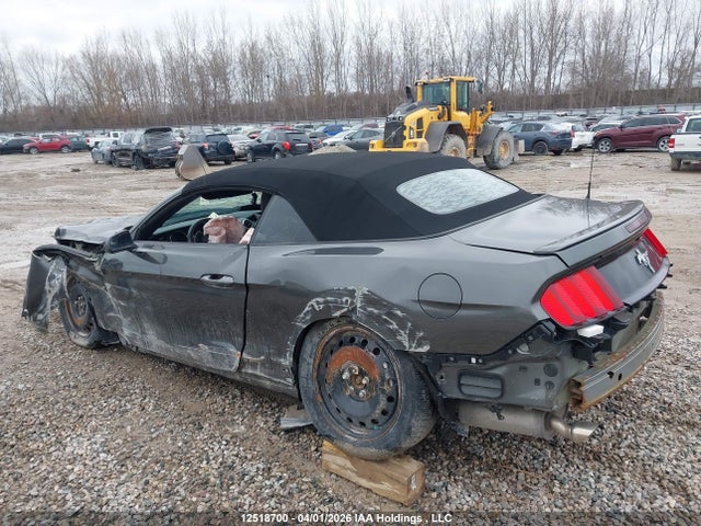 1FATP8EM6H5345217 Ford Mustang