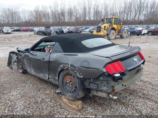 1FATP8EM6H5345217 Ford Mustang