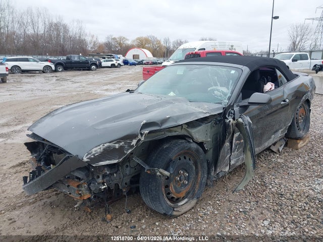 1FATP8EM6H5345217 Ford Mustang