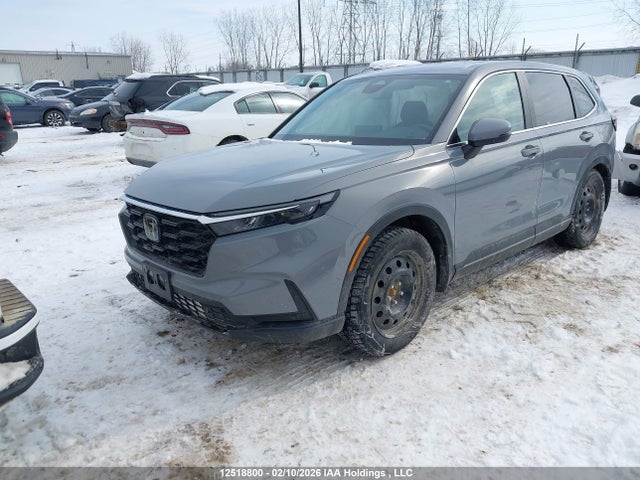 2HKRS4H74PH116342 Honda CR-V