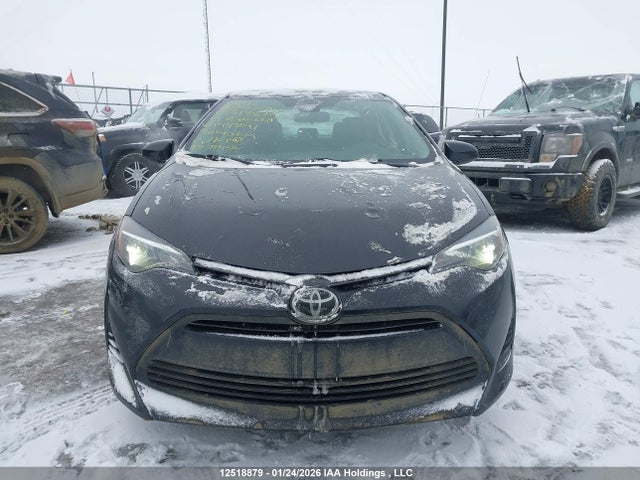 2T1BURHE6KC144291 Toyota Corolla L/le/xle/se/xse