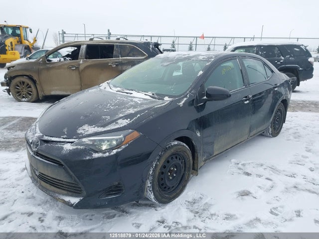 2T1BURHE6KC144291 Toyota Corolla L/le/xle/se/xse