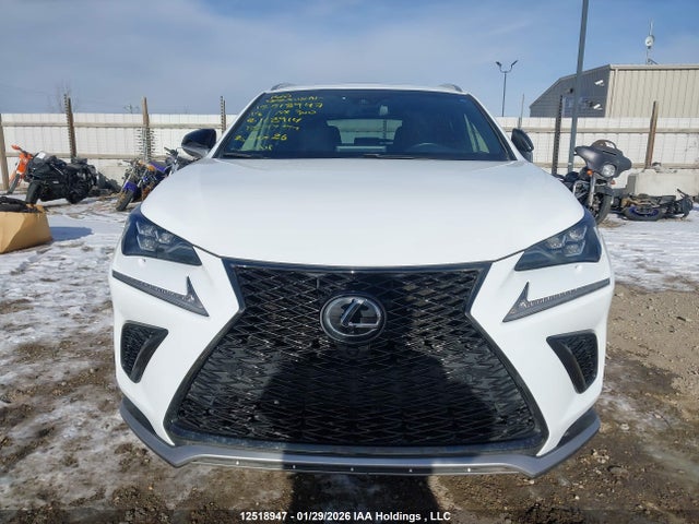 JTJBARBZ6J2168914 Lexus Nx 300/base/f Sport