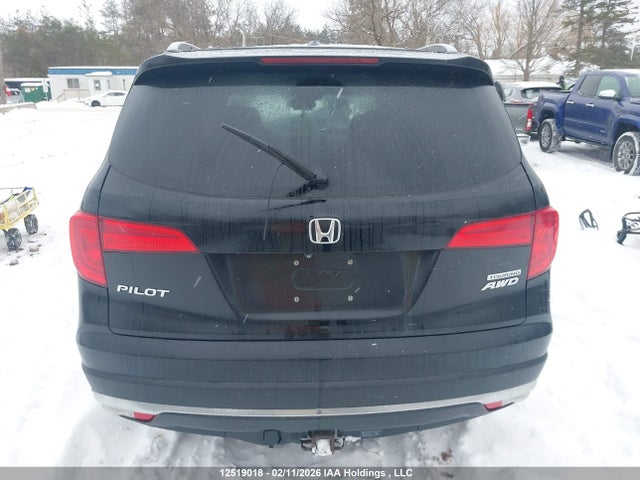 5FNYF6H95GB509262 Honda Pilot