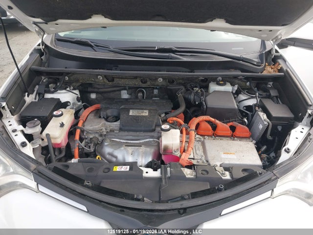 JTMRJREV1JD246319 Toyota Rav4 Hv Le Plus/xle