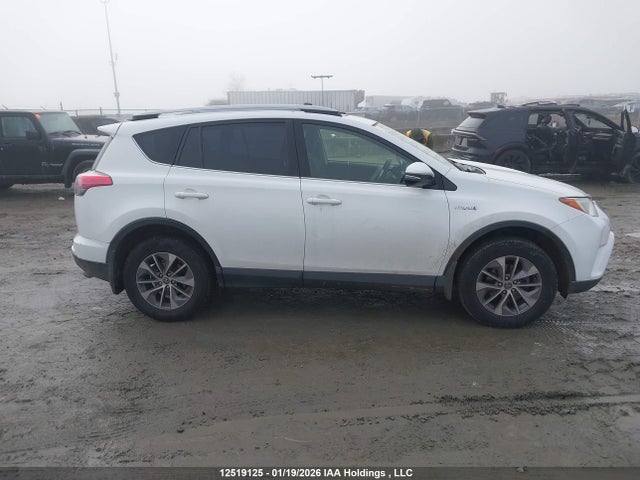 JTMRJREV1JD246319 Toyota Rav4 Hv Le Plus/xle