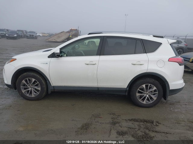 JTMRJREV1JD246319 Toyota Rav4 Hv Le Plus/xle