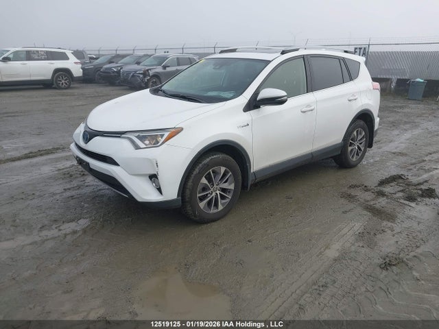 JTMRJREV1JD246319 Toyota Rav4 Hv Le Plus/xle
