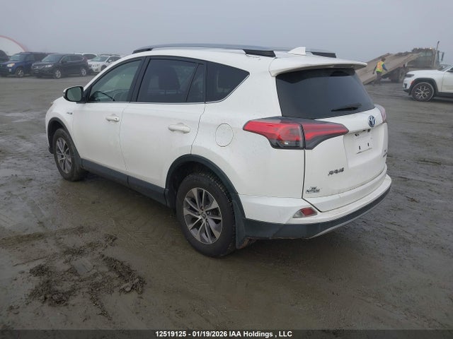 JTMRJREV1JD246319 Toyota Rav4 Hv Le Plus/xle