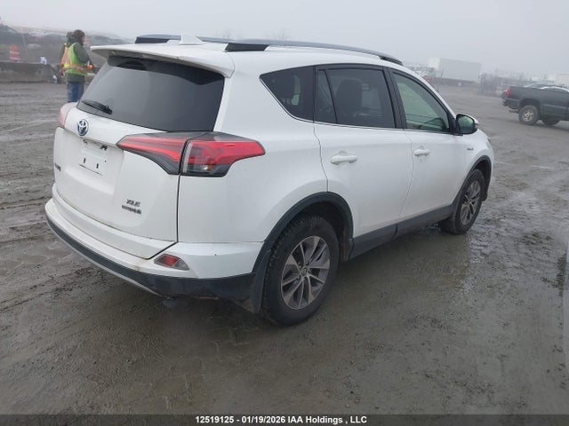 JTMRJREV1JD246319 Toyota Rav4 Hv Le Plus/xle