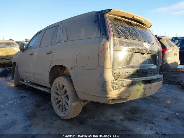 Cadillac Escalade Sport 2023 1GYS4FKL7PR314865 Image 3