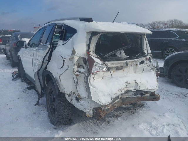 Toyota RAV4 LE 2014 2T3ZFREV2EW120822 Image 3