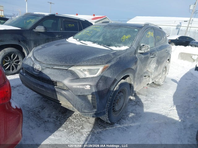 2T3BFREV7GW461945 Toyota RAV4 LE