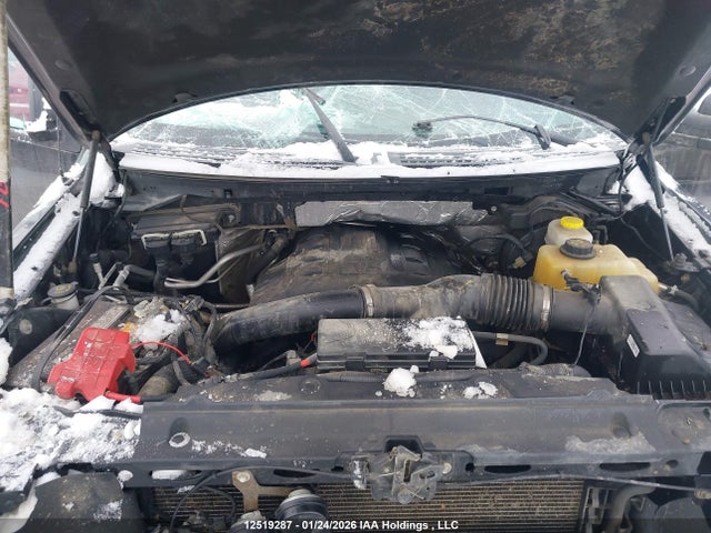 Aukcja sprzedaży 2014 Ford F-150 Fx4, vin: 1FTFW1ET8EKF41391, numer aukcji: 12519287