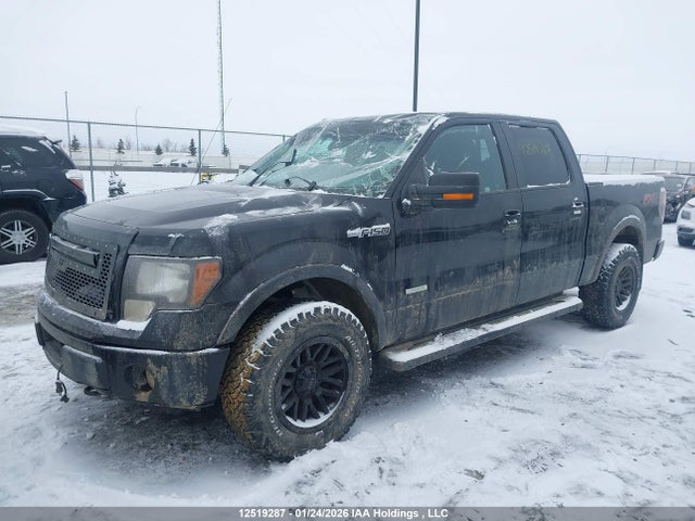 Aukcja sprzedaży 2014 Ford F-150 Fx4, vin: 1FTFW1ET8EKF41391, numer aukcji: 12519287