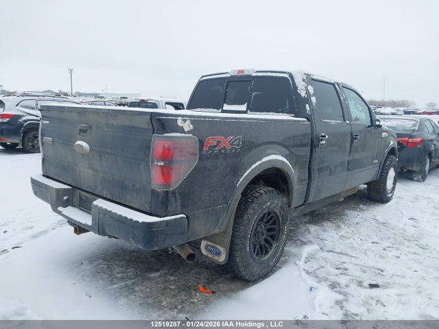 Aukcja sprzedaży 2014 Ford F-150 Fx4, vin: 1FTFW1ET8EKF41391, numer aukcji: 12519287