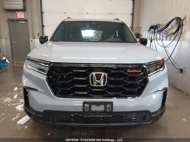 5FNYG1H61PB504856 Honda Pilot Trailsport