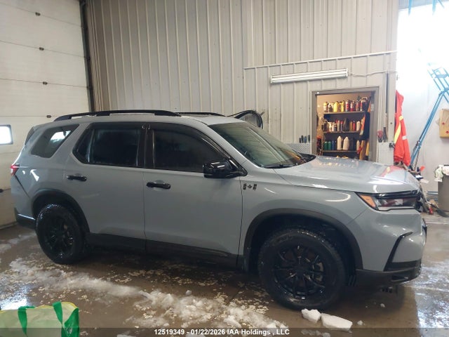 5FNYG1H61PB504856 Honda Pilot Trailsport