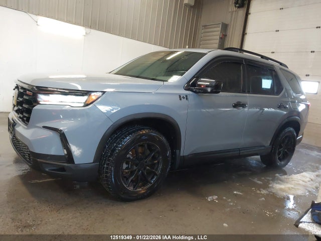 5FNYG1H61PB504856 Honda Pilot Trailsport