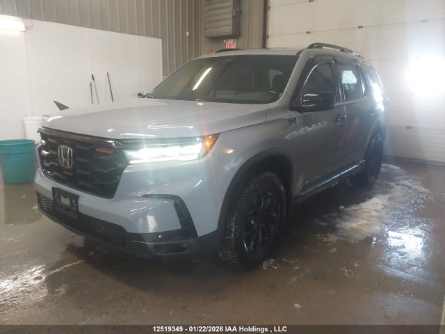 5FNYG1H61PB504856 Honda Pilot Trailsport