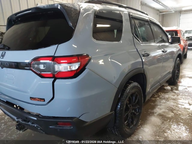 5FNYG1H61PB504856 Honda Pilot Trailsport