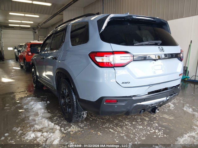 5FNYG1H61PB504856 Honda Pilot Trailsport