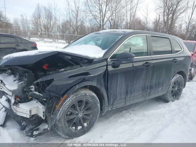 Aukcja sprzedaży 2023 Honda Cr-v, vin: 2HKRS4H54PH102469, numer aukcji: 12519624