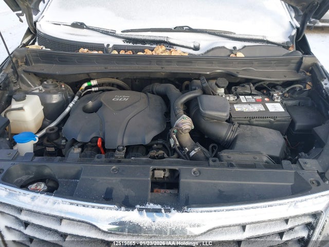 KNDPCCA6XE7669059 KIA Sportage Sx