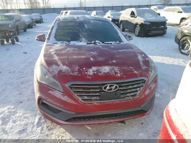 5NPE34AB3FH166836 Hyundai Sonata Sport/limited