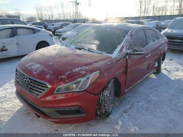 5NPE34AB3FH166836 Hyundai Sonata Sport/limited