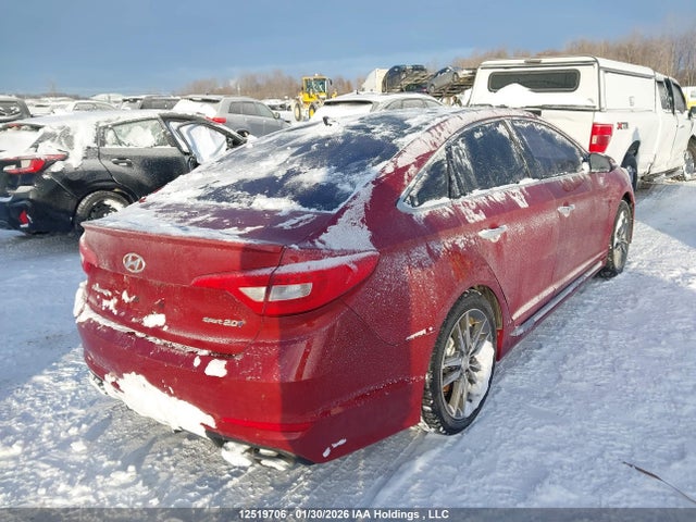 5NPE34AB3FH166836 Hyundai Sonata Sport/limited