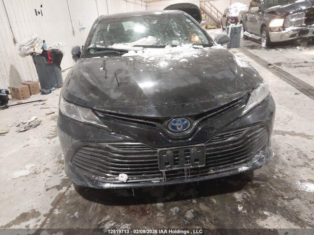 4T1B31HK2JU504504 Toyota Camry Hybrid Le