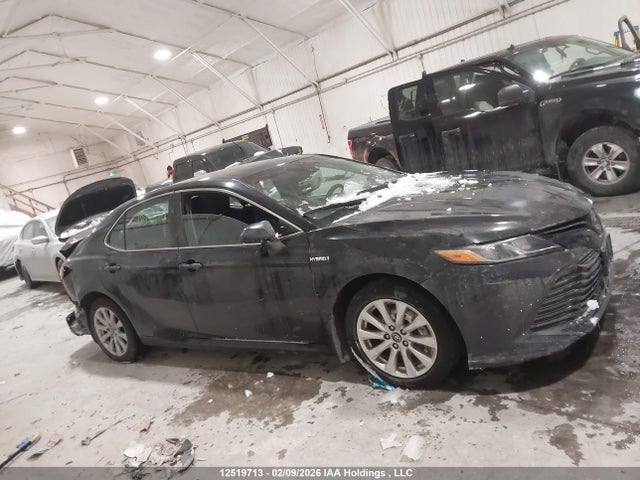 4T1B31HK2JU504504 Toyota Camry Hybrid Le