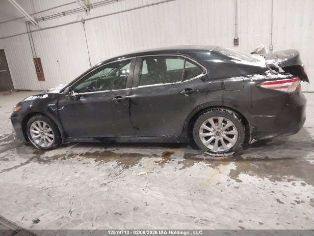 4T1B31HK2JU504504 Toyota Camry Hybrid Le