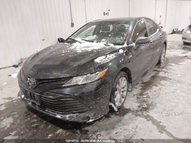 4T1B31HK2JU504504 Toyota Camry Hybrid Le
