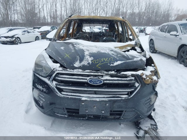 12519812 :رقم المزاد ، 1FMCU0GD1HUB17161 vin ، 2017 Ford Escape Se مزاد بيع