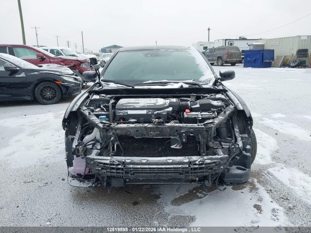 1HGCT2B91GA800484 Honda ACCORD EXL