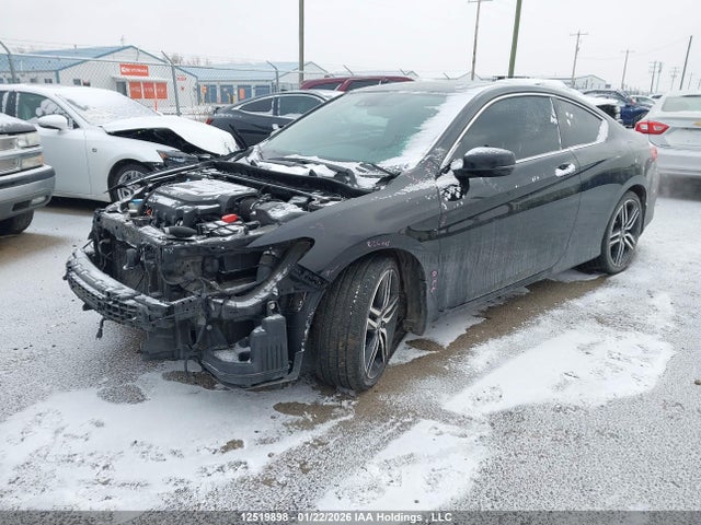 1HGCT2B91GA800484 Honda ACCORD EXL