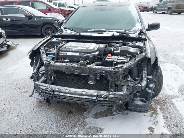 1HGCT2B91GA800484 Honda ACCORD EXL