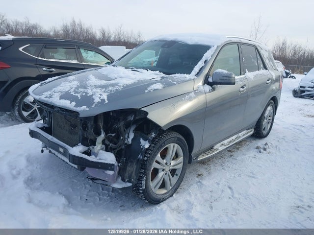 Mercedes-Benz Ml 350 Bluetec 2015 4JGDA2EB1FA559365 Image 2