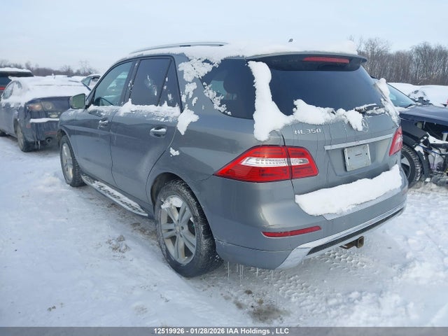 Mercedes-Benz Ml 350 Bluetec 2015 4JGDA2EB1FA559365 Image 3