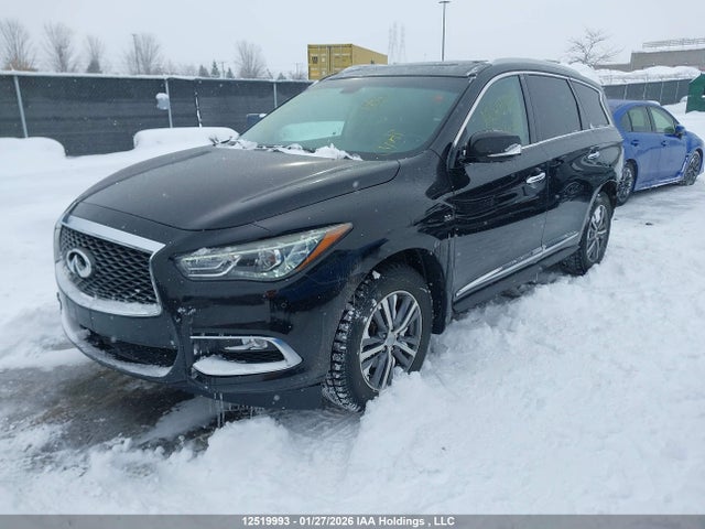 5N1AL0MM5GC503035 Infiniti QX60